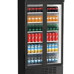 SENOX - SDS-1010 DC 2 CF Kanopili Çarpma / Sürgü Kapı Siyah